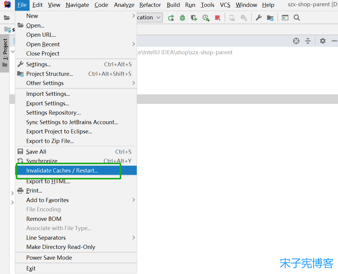 IntelliJ IDEA清除项目中的缓存.png